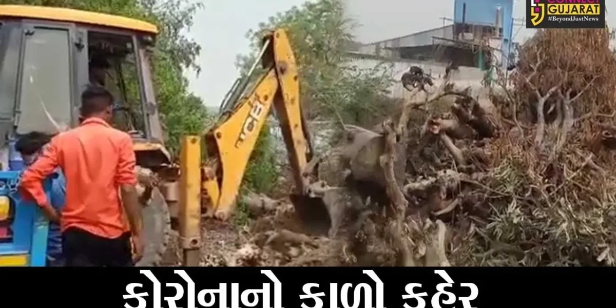ક્ચ્છ : માધાપરના સ્મશાન ગૃહમાં અંતિમવિધિ માટે લાકડા પણ ખૂટી પડ્યા, ખેડૂતો આવ્યા મદદે