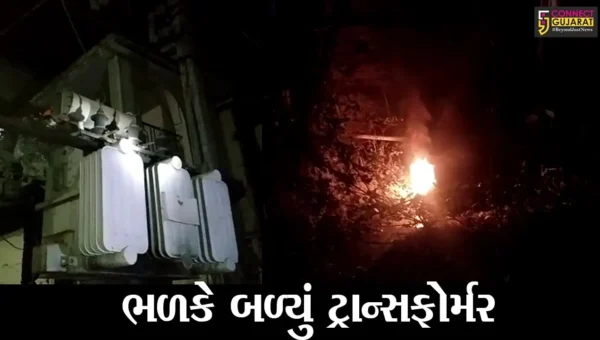 ભરૂચ : પાલેજમાં ટ્રાન્સફોર્મરમાં લાગી આગ, જુઓ પછી લોકોના હાલ કેમ થયાં બેહાલ …