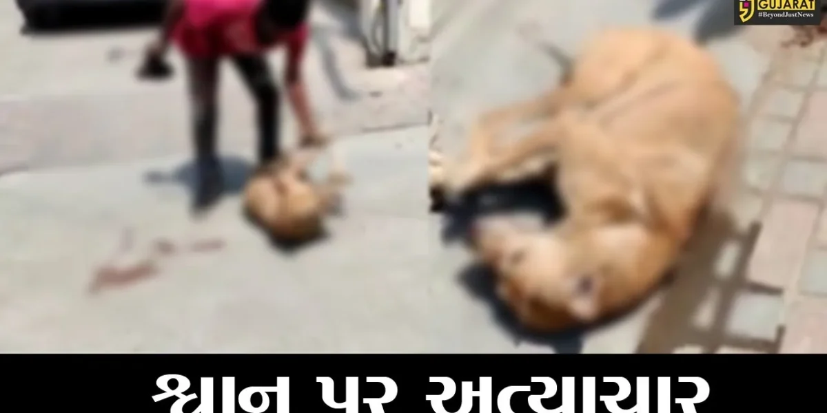 ભરૂચ : રંગ ટાઉનશીપ ફેસ-2માં શ્વાનનો આતંક, ક્રુરતાપુર્વક શ્વાનને પકડવામાં આવતાં વિવાદ