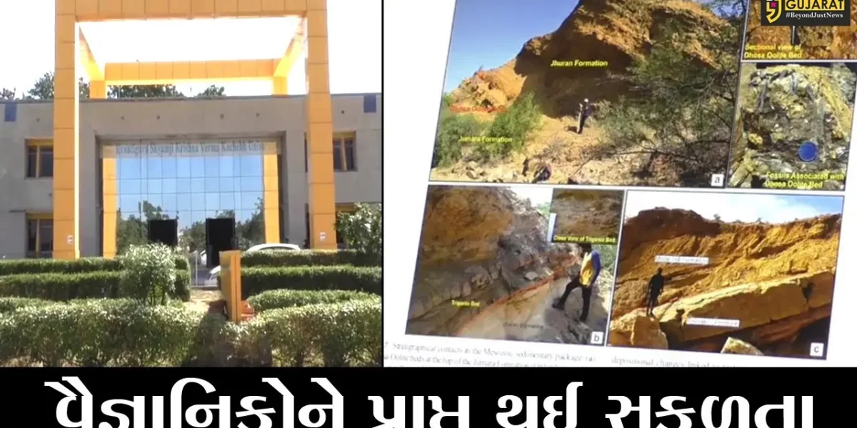 કચ્છ : ભારતનું પ્રથમ જીઓ પાર્ક બને તેવા ઉજળા સંજોગો, સંશોધન ક્ષેત્રે વૈજ્ઞાનિકોને મળી સફળતા