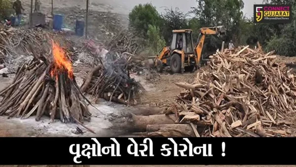 ભરૂચ: કોરોનાએ ફક્ત માણસો જ નહીં પરંતુ વૃક્ષોનો પણ જીવ લીધો ?