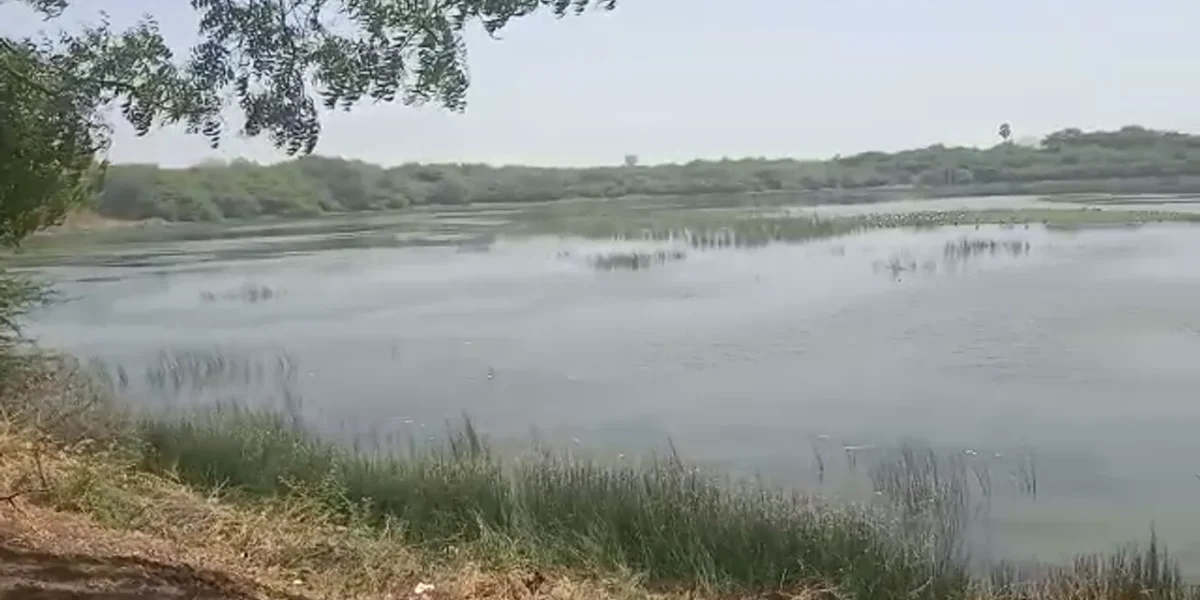 ભાવનગર : સુજલામ સુફલામ જળ અભિયાનનો કરાયો પ્રારંભ, સમગ્ર જીલ્લામાં તબક્કાવાર કામગીરીની શરૂઆત