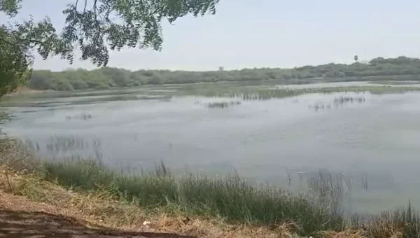 ભાવનગર : સુજલામ સુફલામ જળ અભિયાનનો કરાયો પ્રારંભ, સમગ્ર જીલ્લામાં તબક્કાવાર કામગીરીની શરૂઆત