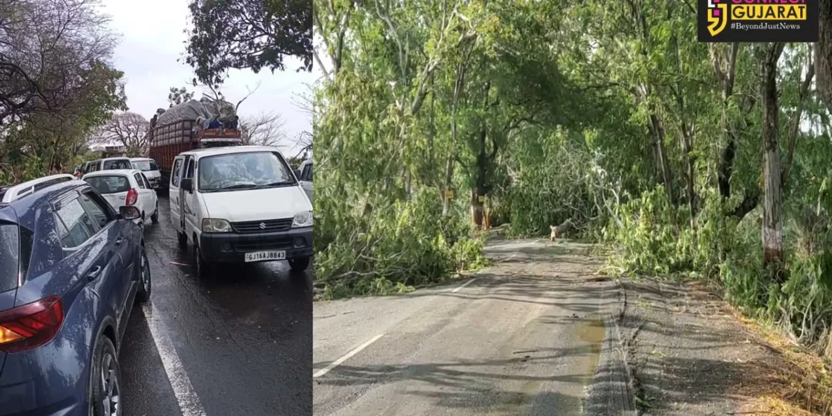 ભરૂચ : આમોદ પંથકમાં વાવાઝોડું, વીજવાયરો અને વૃક્ષો થયાં ધરાશાયી