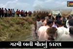ભરૂચ : નાનાવાસણામાં યુવાનની જીંદગી અને મોત વચ્ચે રહી ગયો નજીવો “ફાસલો”