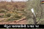 ગીર સોમનાથ : તાઉતે વાવાઝોડાએ સર્જી ભારે તારાજી, ખેતી-બાગાયતી પાકોના નુકશાન સામે સર્વેની કામગીરી શરૂ