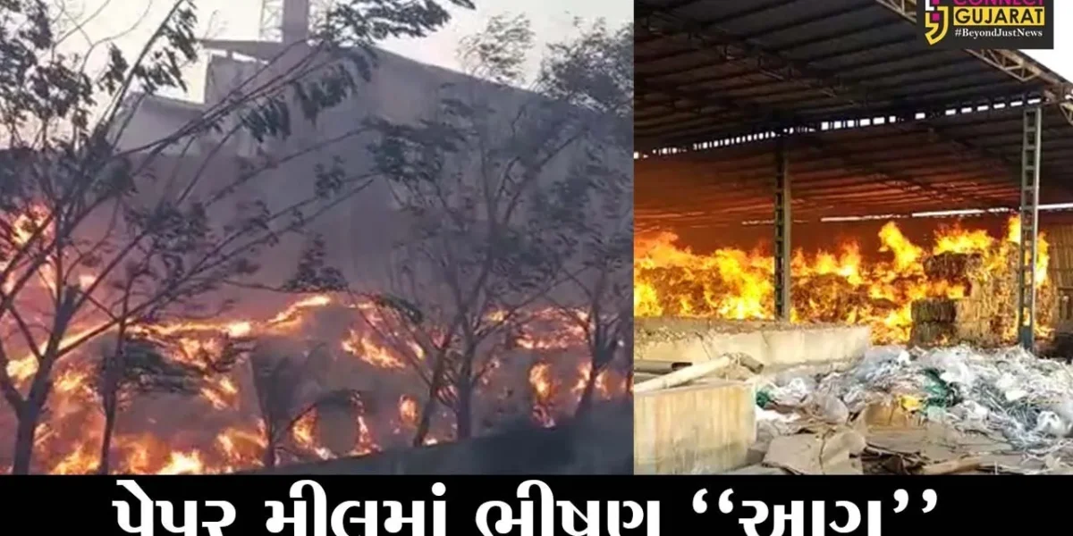 વડોદરા : લાકોદરાની પેપર મીલમાં ફાટી નીકળી હતી ભીષણ આગ, ફાયર ફાઇટરોએ આગ પર મેળવ્યો કાબુ