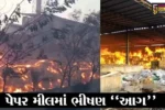 વડોદરા : લાકોદરાની પેપર મીલમાં ફાટી નીકળી હતી ભીષણ આગ, ફાયર ફાઇટરોએ આગ પર મેળવ્યો કાબુ