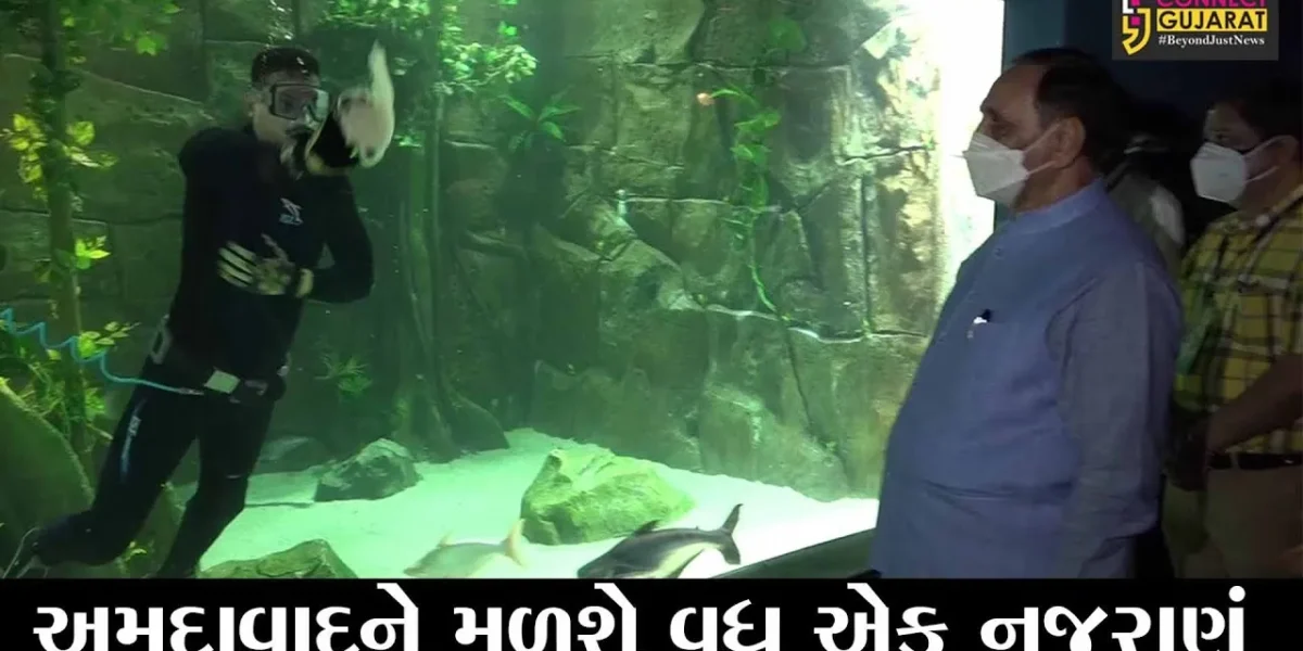 અમદાવાદ : એકવેટિક – રોબોટીક ગેલેરીની મુલાકાત લેતાં મુખ્યમંત્રી વિજય રૂપાણી