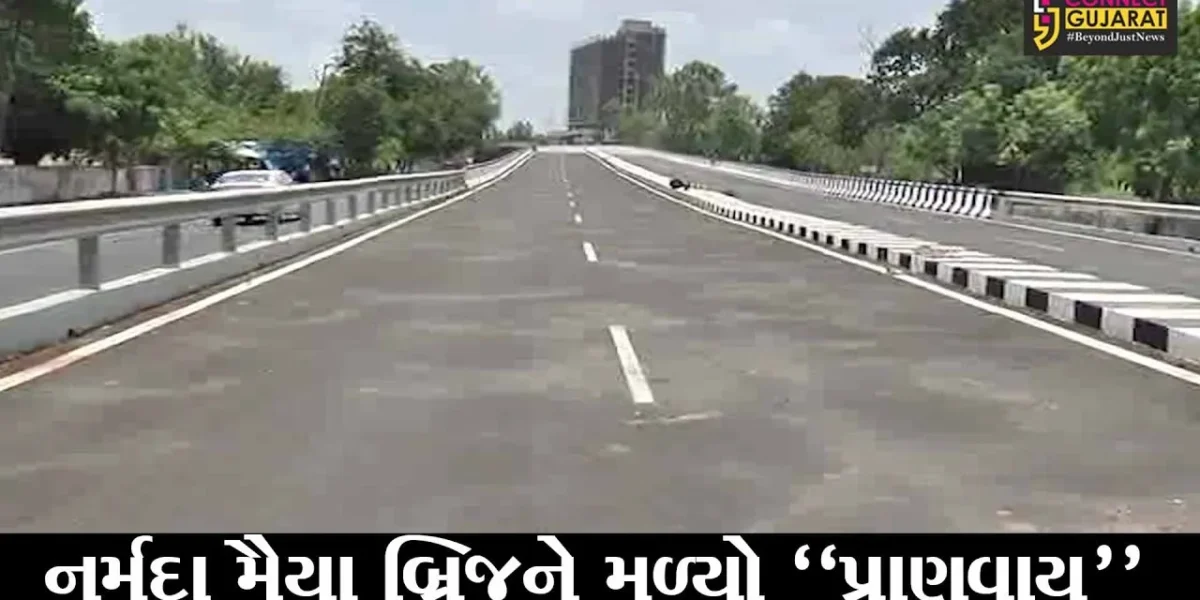 કોરોનાએ અટકાવી હતી નર્મદા મૈયા બ્રિજની કામગીરી, જુઓ શું છે ચોંકાવનારૂ કારણ