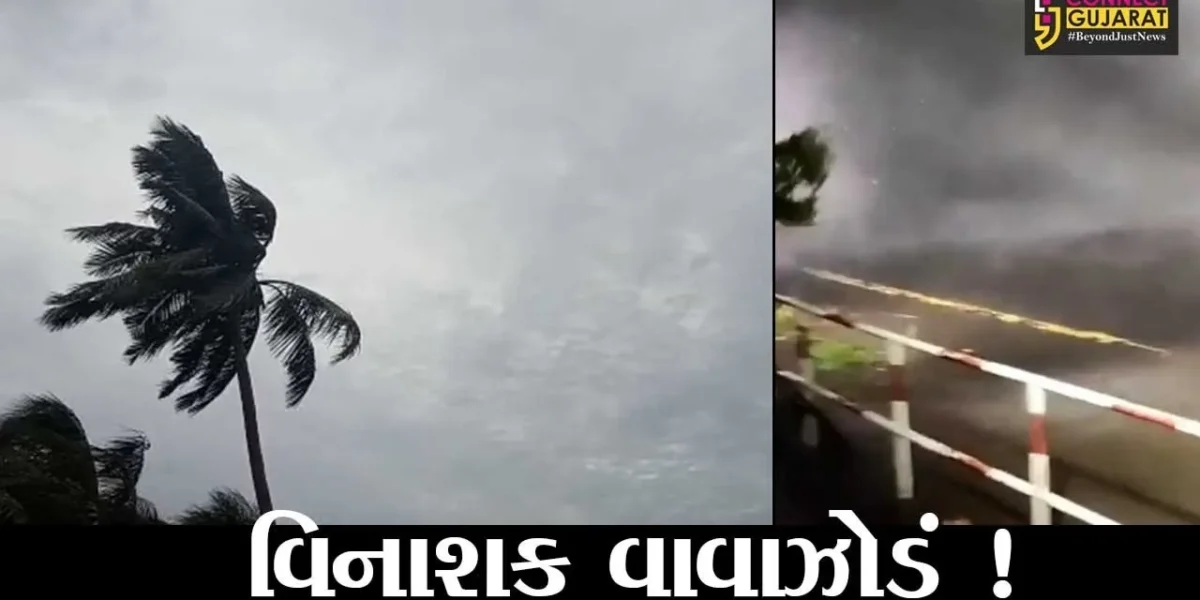 અમદાવાદ: તાઉતે વાવાઝોડાના કારણે રાજયમાં 45 લોકોના મોત, જુઓ તારાજીના દ્રશ્યો
