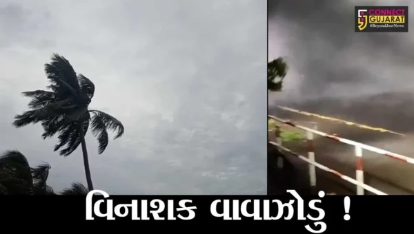 અમદાવાદ: તાઉતે વાવાઝોડાના કારણે રાજયમાં 45 લોકોના મોત, જુઓ તારાજીના દ્રશ્યો
