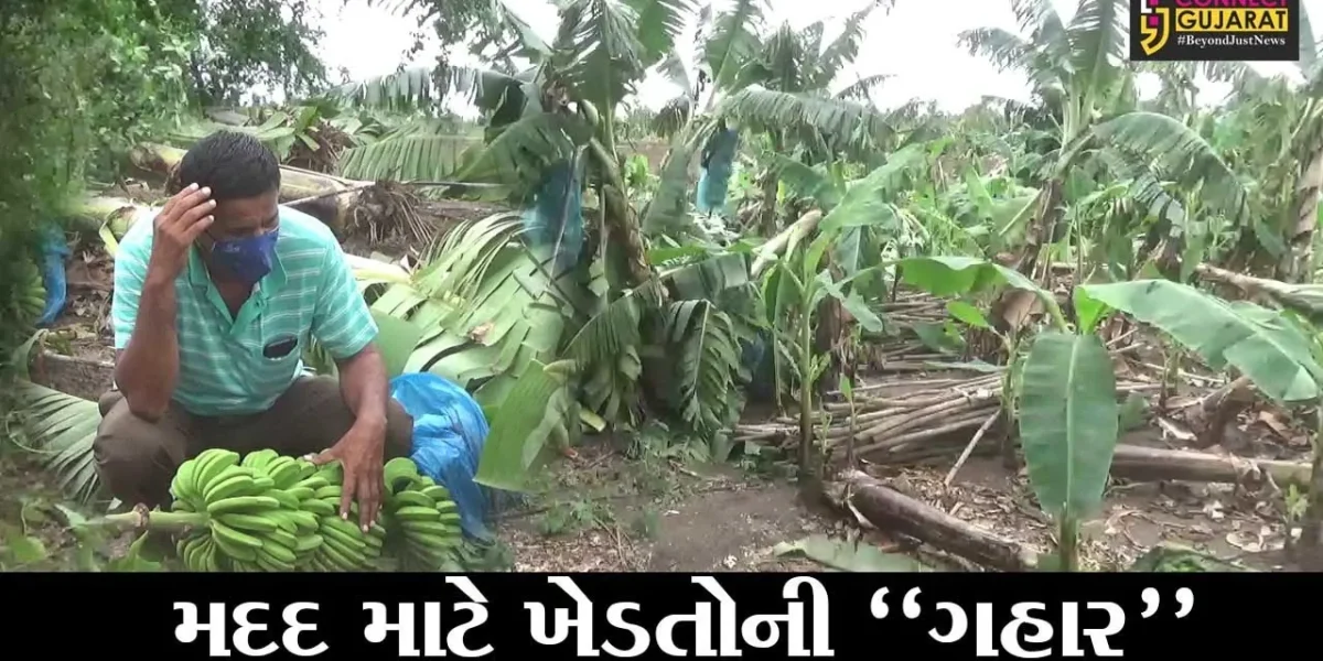 સુરત : તાઉતે વાવાઝોડાના કારણે કામરેજ તાલુકામાં કેળના પાકને કરોડો રૂપિયાનું નુકશાન, વળતર ચુકવવા સરકાર પાસે ખેડૂતોએ કરી માંગ