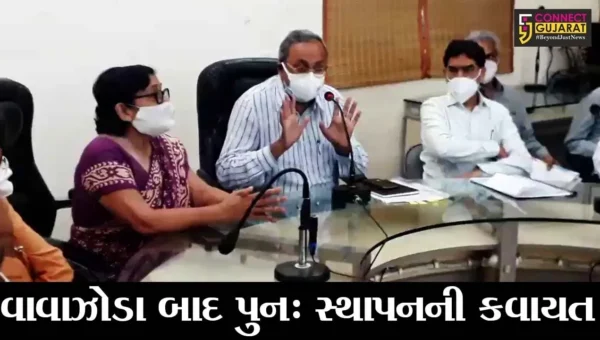 ભાવનગર : તાઉ-તે વાવાઝોડાએ 10 કલાકમાં જ વીજમાળખાને 60 ટકા નુકશાન પહોંચાડયું