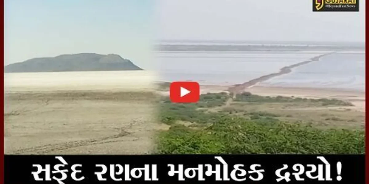 કચ્છ: વાગડનું સફેદ રણ લોકોને યુરોપના દેશોની યાદ અપાવી રહ્યું છે, જુઓ મનમોહક દ્રશ્યો