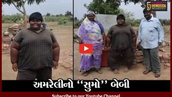 અમરેલી : જાપાનના સુમો પહેલવાનની યાદ અપાવતો ખીચા ગામનો 140 કિલો વજનનો “સાગર”