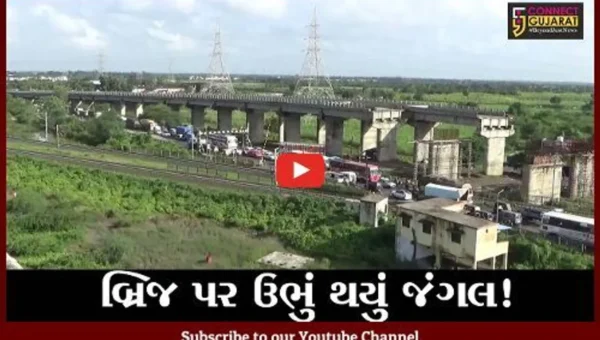 સુરત: પલસાણા તાલુકાના દસ્તાન ગામે ઓવરબ્રિજની ખોરંભે પડેલ કામગીરી શરૂ કરવા માંગ