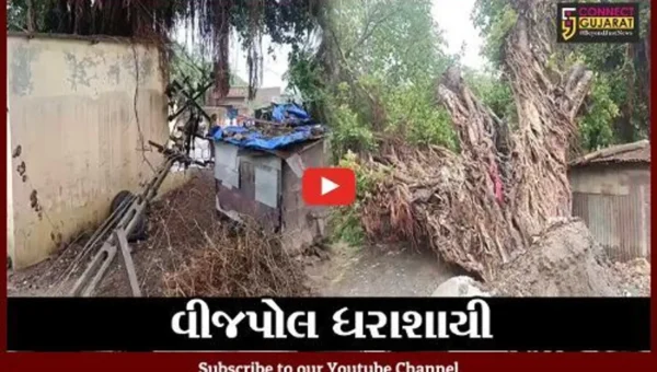 આણંદ : વીજપોલ ધરાશાયી થતાં ગામડી પંથકમાં વીજપુરવઠો ખોરવાયો