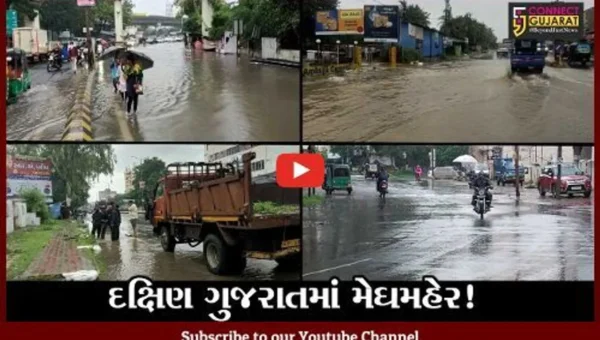 દક્ષિણ ગુજરાતમાં ઠેર ઠેર મેઘમહેર, બારડોલી અને નવસારીમાં વરસાદી પાણી ભરાયા