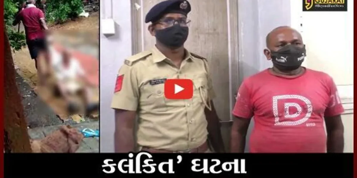 વલસાડ : 95 વર્ષના વૃદ્ધને માર મારી ઘસડીને ઘરે લઈ જતાં નોંધાઈ ફરિયાદ, વિડીયો થયો વાયરલ