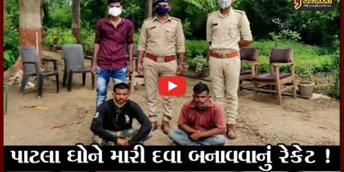 વડોદરા: 11 મૃત પાટલા ઘો સાથે 2 શિકારી ઝડપાયા