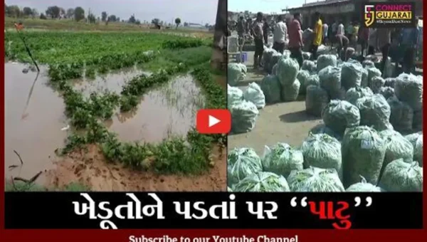 સાબરકાંઠા : ચોમાસાના પ્રારંભે જ શાકભાજીના ભાવમાં ઉછાળો
