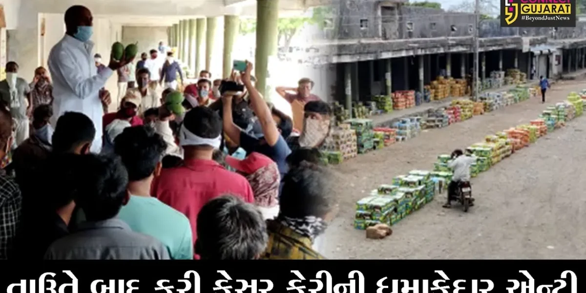 ગીર-સોમનાથ : તાઉતે વાવાઝોડા બાદ તાલાલા માર્કેટ યાર્ડમાં ફરીથી કેસર કેરીની માંગ વધતા ખેડૂતોમાં આનંદ