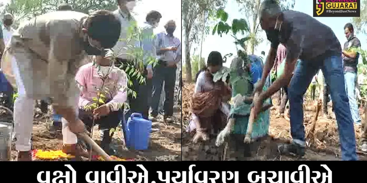 અંકલેશ્વર : “રેવા અરણ્ય” ખાતે વિશ્વ પર્યાવરણ દિવસની ઉજવણી કરાઇ, પર્યાવરણ પ્રેમીઓના હસ્તે કરાયું વૃક્ષારોપણ