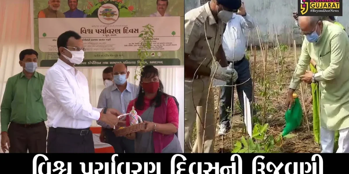 વિશ્વ પર્યાવરણ દિવસની વૃક્ષારોપણ સાથે ઉજવણી, વૃક્ષોનું જતન થશે ખરૂ ?