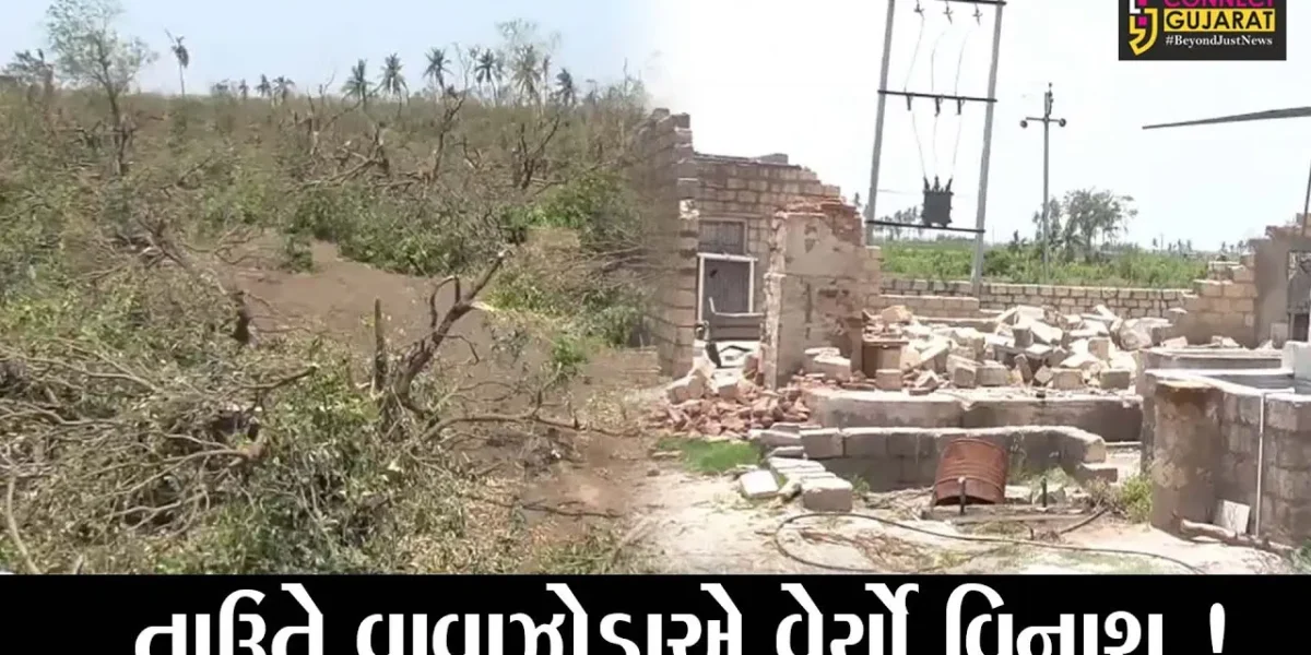 ગીર સોમનાથ:તાઉતે વાવાઝોડાથી 48 હજાર ખેડૂત અસરગ્રસ્ત, રૂપિયા 125 કરોડથી વધુની સહાય ચૂકવાશે