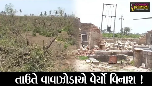 ગીર સોમનાથ:તાઉતે વાવાઝોડાથી 48 હજાર ખેડૂત અસરગ્રસ્ત, રૂપિયા 125 કરોડથી વધુની સહાય ચૂકવાશે