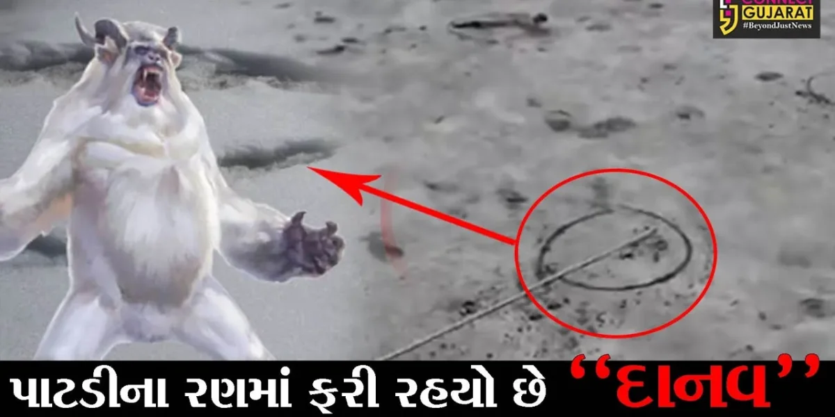 સુરેન્દ્રનગર : પાટડીના રણમાં ફરી રહયો છે “દાનવ”, જુઓ અગરિયાઓમાં કેમ છે ભય