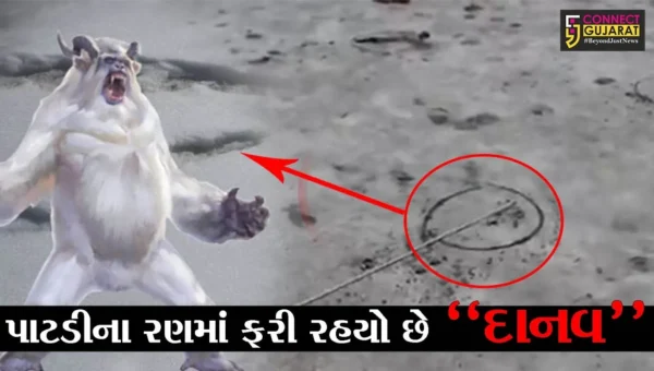 સુરેન્દ્રનગર : પાટડીના રણમાં ફરી રહયો છે “દાનવ”, જુઓ અગરિયાઓમાં કેમ છે ભય