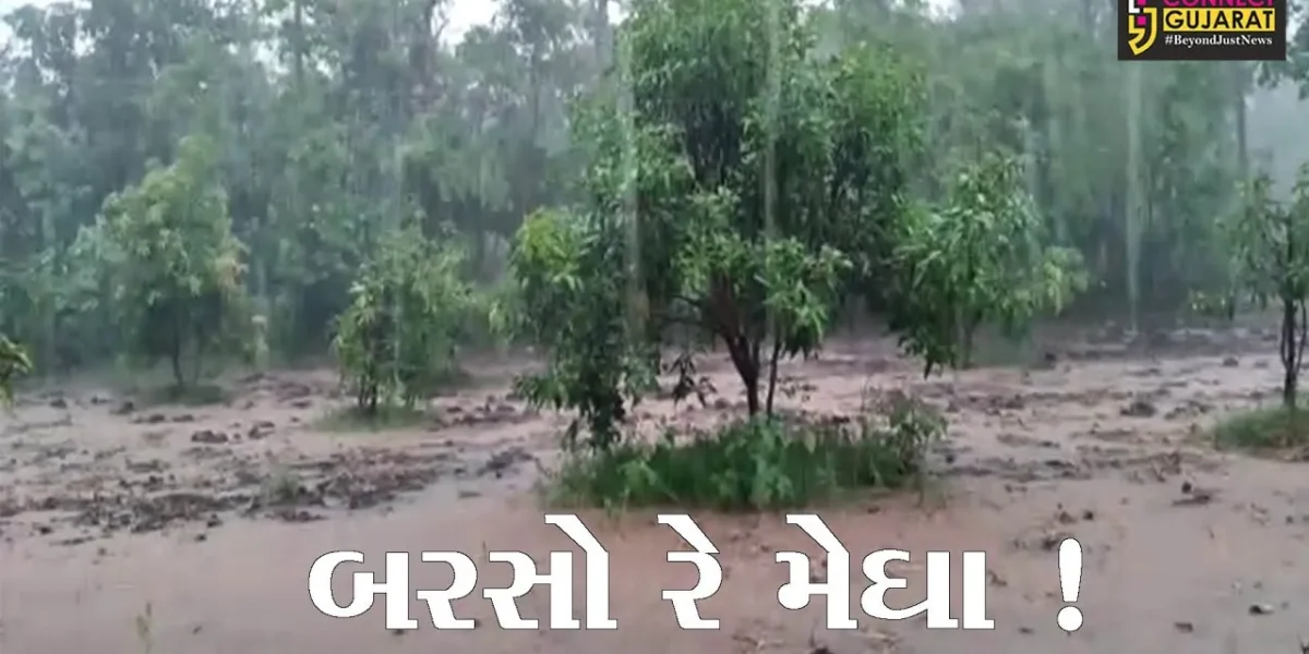 વલસાડ: નૈરૂત્યના ચોમાસાનું આગમન, ઠેર ઠેર ભારે વરસાદ વરસ્યો