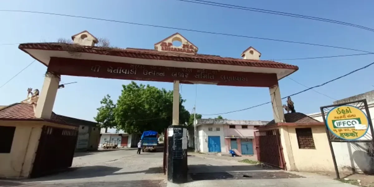 મહીસાગર : લુણાવાડા APMC માર્કેટમાં ઘઉ-ચણાની ટેકાના ભાવે ખરીદી શરૂ, ખેડૂતોમાં ખુશીનો માહોલ