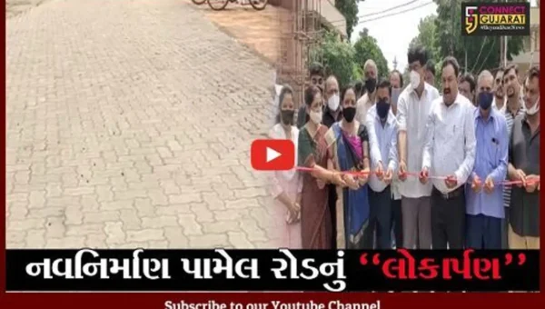 ભરૂચ : ધારાસભ્યની ગ્રાન્ટમાંથી નિર્માણ પામેલ ઝાડેશ્વર-મકતપુર ગ્રામ પંચાયત સુધીના રોડનું લોકાર્પણ