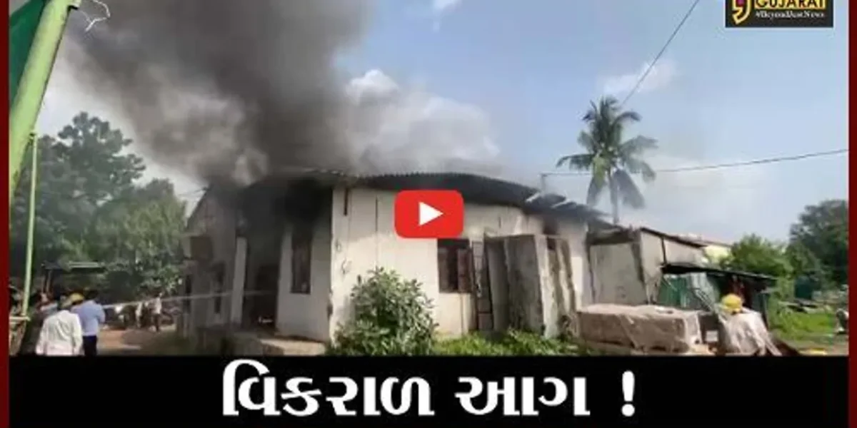 ભરૂચ: ભોલાવ જીઆઇડીસીમાં ટ્રાન્સપોર્ટનાં ગોડાઉનમાં આગ લાગતા દોડધામ