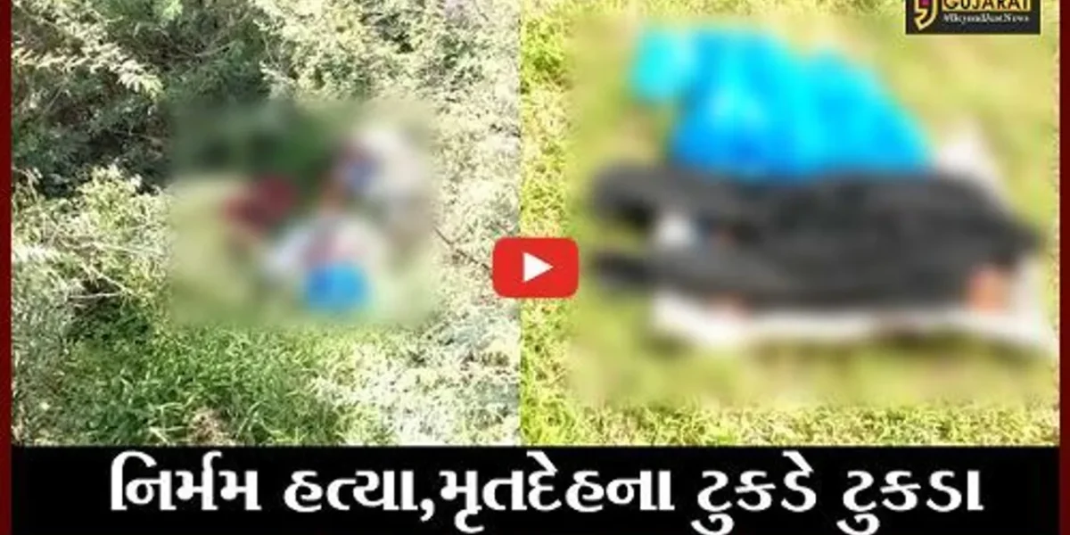 ભરૂચ : અમરતપુરા નજીક કોથળામાંથી મળ્યાં માનવદેહના ટુકડા, દ્રશ્યો જોઇ કંપી ઉઠશે કાળજું