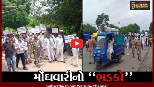 દાહોદ : ઝાલોદમાં મોંઘવારીના વિરોધમાં કોંગ્રેસના કાર્યકરોની સાયકલ રેલી