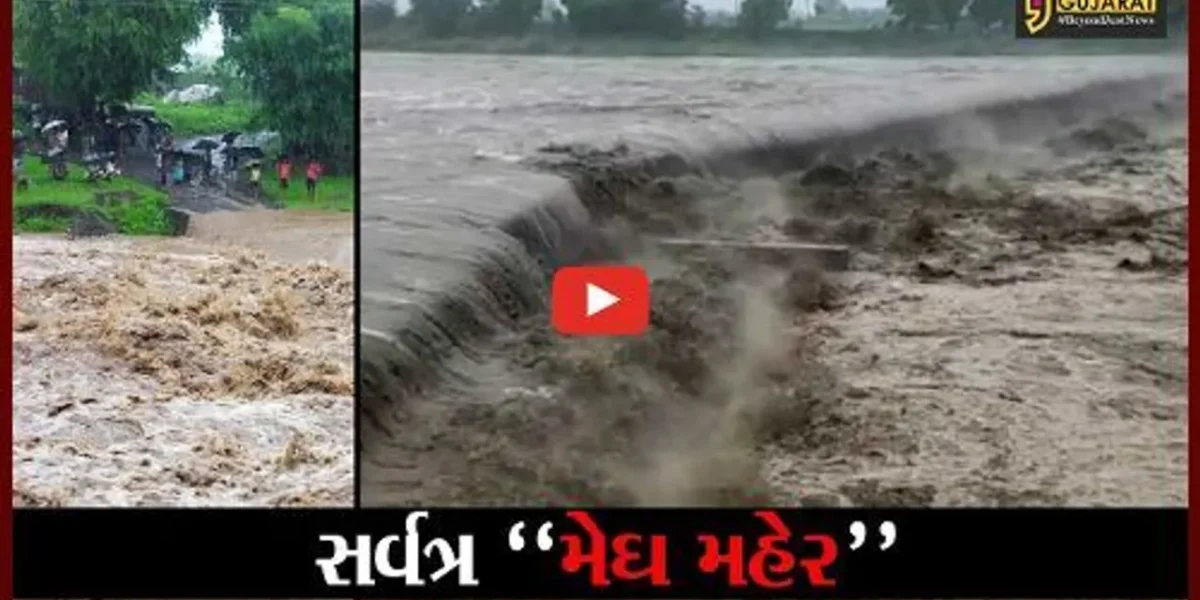 છોટાઉદેપુર : સર્વત્ર મેઘ મહેર થતાં ટોકરવા, ધામણી અને દુદવાલ નદીમાં આવ્યું પુર..!