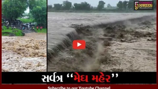 છોટાઉદેપુર : સર્વત્ર મેઘ મહેર થતાં ટોકરવા, ધામણી અને દુદવાલ નદીમાં આવ્યું પુર..!