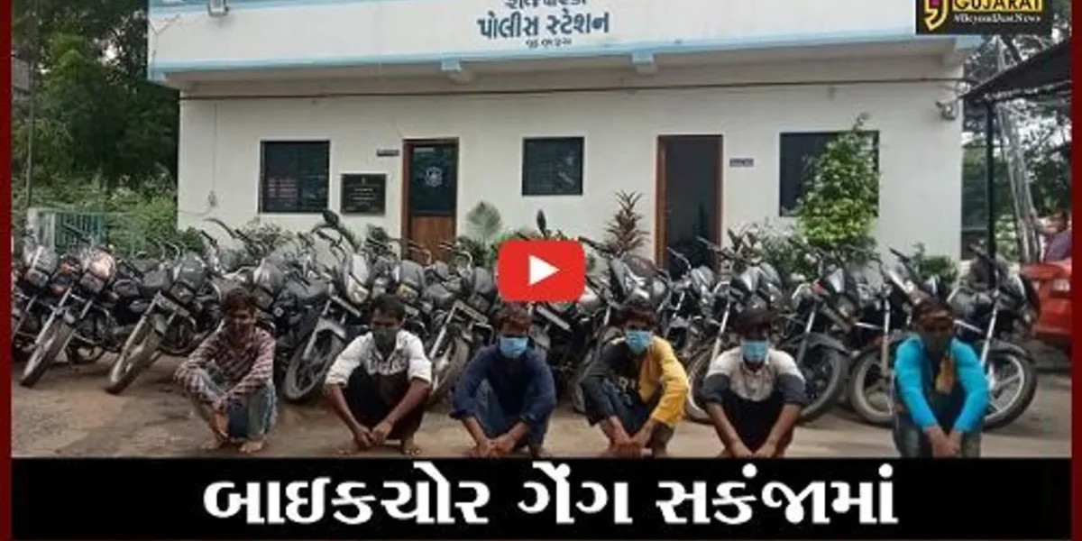 ભરૂચ : રાજપારડી પોલીસે છ રીઢા વાહનચોરોને ઝડપી પાડયાં, જંગલમાં છુપાવેલી 31 બાઇક મળી