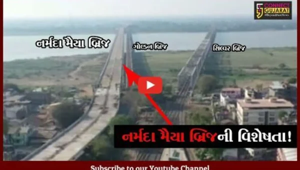 ભરૂચ: નર્મદા મૈયા બ્રિજની શું છે વિશેષતા? જુઓ બધુ જ જે તમે જાણવા માંગો છો !