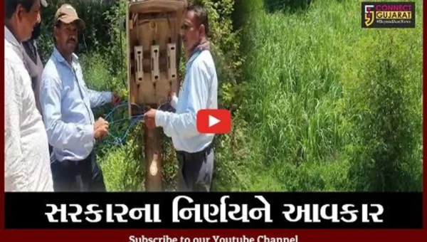 સુરત : ઓલપાડ ખેડુતોને હવે 8ના બદલે 10 કલાક સુધી અપાશે વીજળી, જુઓ શું કહે છે ખેડુતો