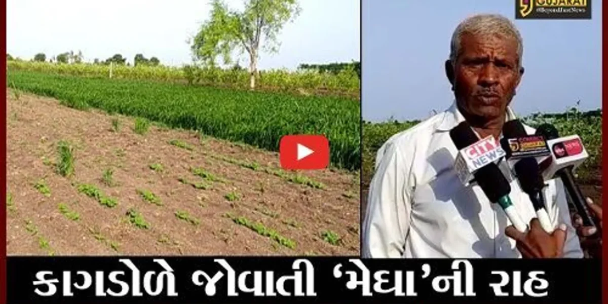 ભાવનગર : પાકોનું વાવેતર કર્યા બાદ વરસાદ ખેંચાતા ધરતીપુત્રો ચિંતાતુર