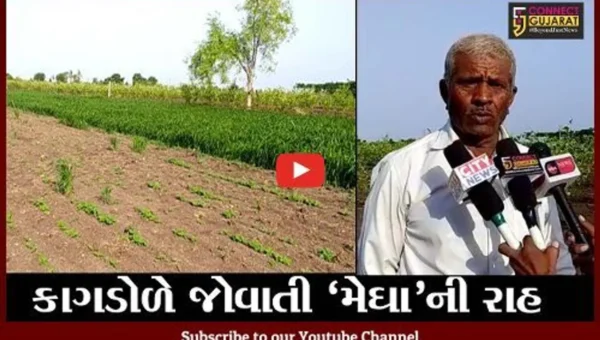 ભાવનગર : પાકોનું વાવેતર કર્યા બાદ વરસાદ ખેંચાતા ધરતીપુત્રો ચિંતાતુર