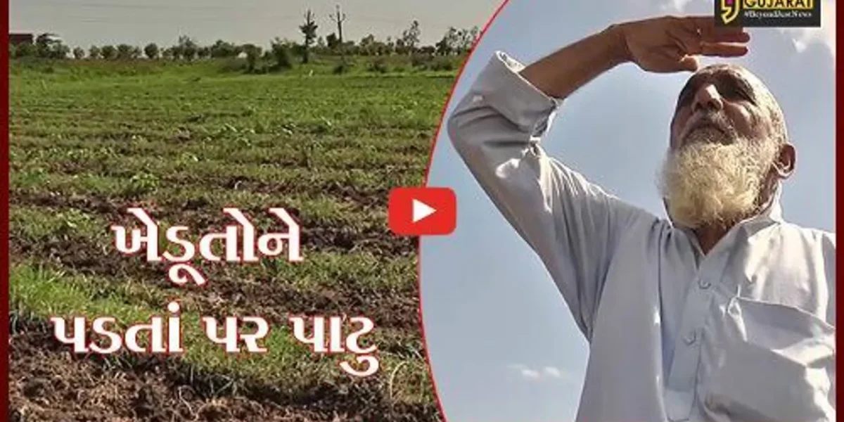 ભરૂચ : મેઘરાજાની હાથતાળીથી ખેડૂતોના માથે ઘેરાયા ચિંતાના વાદળો, પાક નિષ્ફળ જવાની ભીતિ