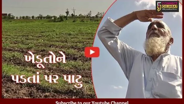 ભરૂચ : મેઘરાજાની હાથતાળીથી ખેડૂતોના માથે ઘેરાયા ચિંતાના વાદળો, પાક નિષ્ફળ જવાની ભીતિ