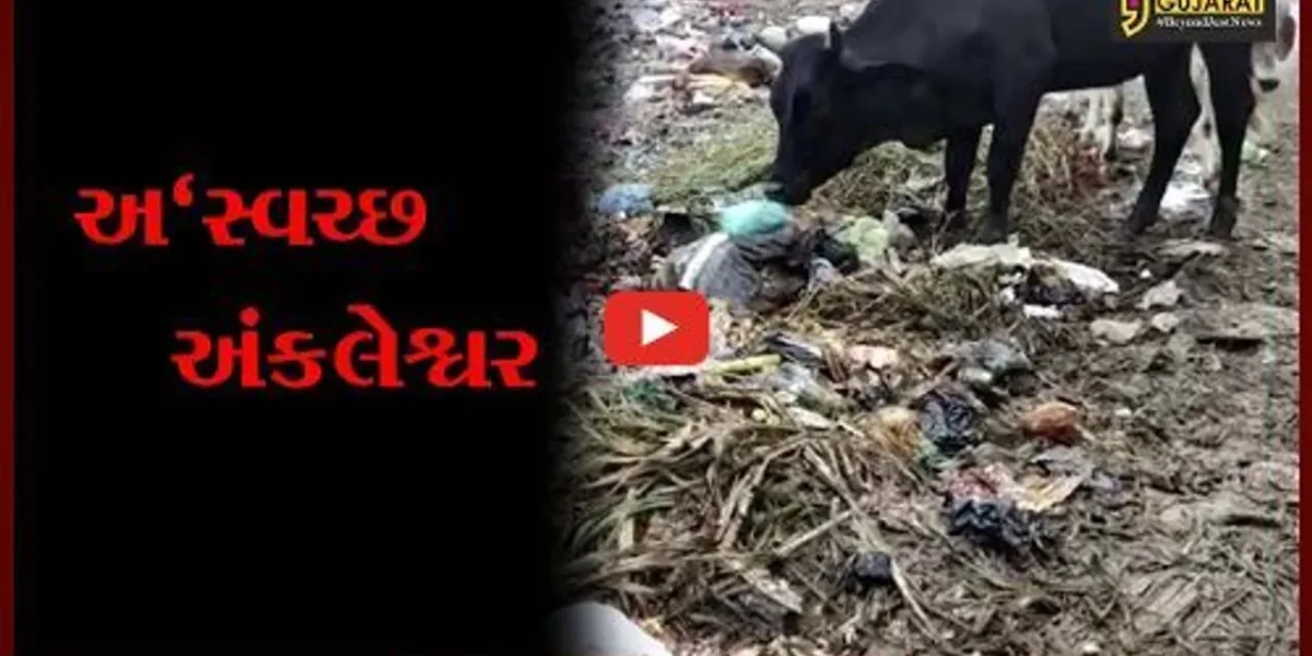 અંકલેશ્વર : મુખ્યમાર્ગો જ ગંદકીથી ખદબદી રહયાં છે, પાલિકાની કામગીરી “શુન્ય”
