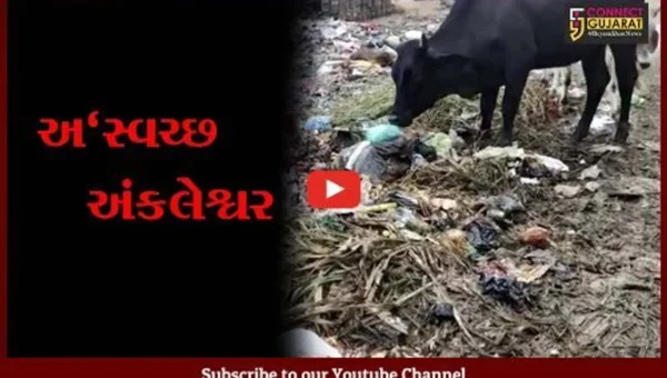 અંકલેશ્વર : મુખ્યમાર્ગો જ ગંદકીથી ખદબદી રહયાં છે, પાલિકાની કામગીરી “શુન્ય”